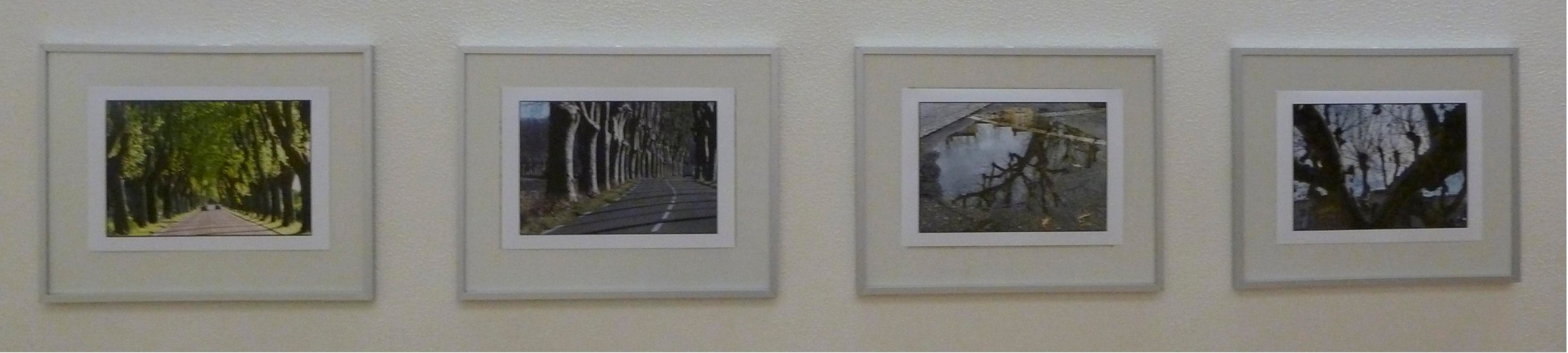 (c) www.fotomittermair.at