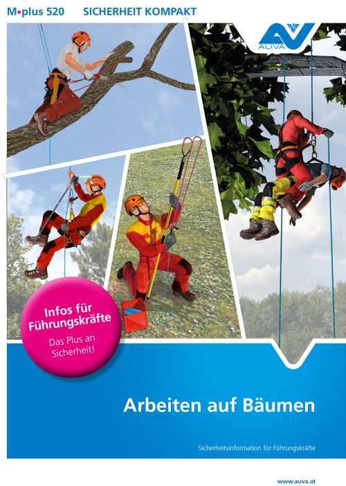 Bild: M.plus_520_Arbeiten_auf_Baeumen_500