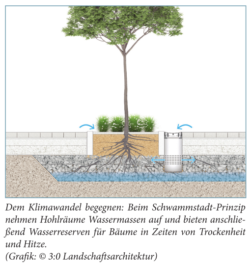 Schwammstadt