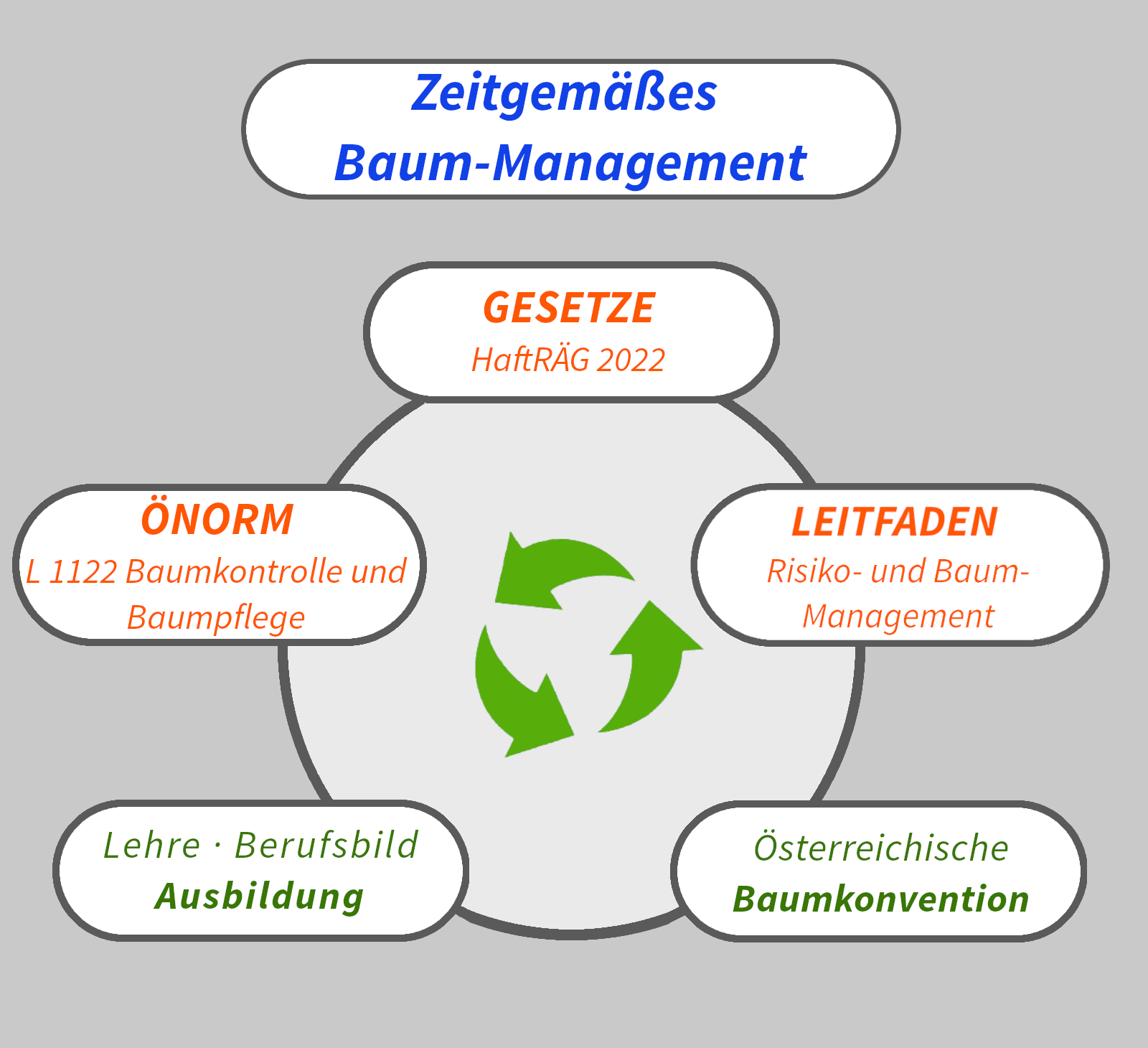 Zeitgem.Baum-Management
